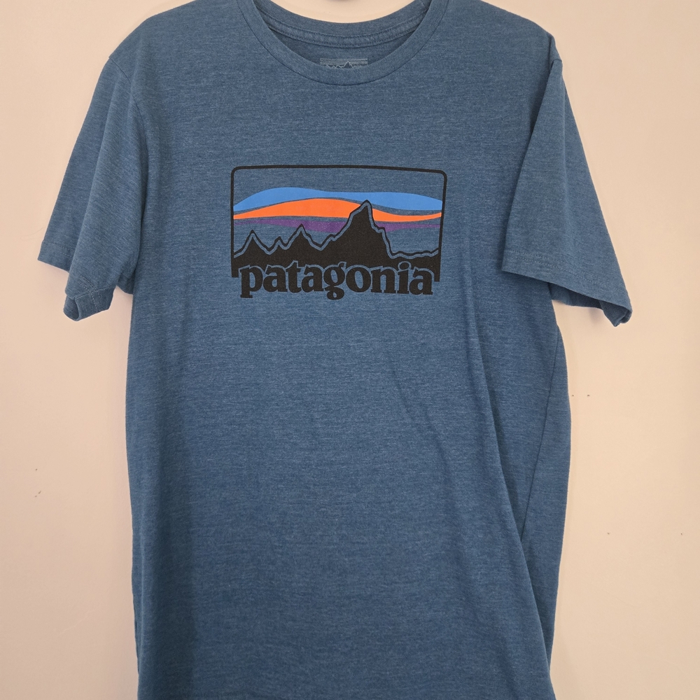 Patagonia Blue Short Sleeve Tee with Mountain Graphic